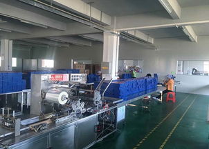 洗衣片代加工與網絡信息安全軟件開發 聚壹生物的創新之道